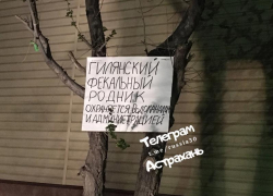 Астраханцы окрестили канализационную лужу на Дарвина фекальным родником