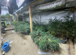 Астраханец обустроил под землей конопляную ферму