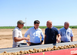 Картошка, чипсы и коронавирус: как прошла встреча Рината Аюпова с главой Енотаевского района