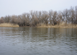 С Астрводоканала взыскивают 30 миллионов рублей за грязную речку 