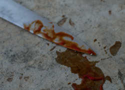 В селе, где на маленькую астраханку упало дерево, убили человека 