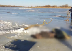 В Астраханской области нашли тело пропавшего рыбака