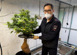 Спичечные коробки привели астраханскую полицию к наркоферме