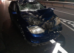 Молодой астраханец сбил мужчину на пешеходном переходе