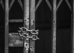 Грибы и цветы могут сделать астраханцев уголовниками 