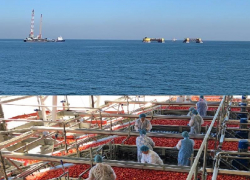 Астраханский инвестпроект по добыче нефти получил статус особо важного