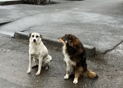 Погода, праздники, именины в понедельник 12 февраля 