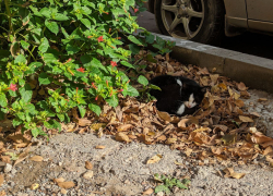 Погода, праздники, именины в среду 8 ноября