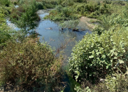 Допустившая разлив сточных вод астраханская компания оштрафована на 6 миллионов рублей