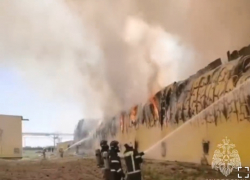 Стало известно, сколько кур сгорело в Астраханской области на птицефабрике