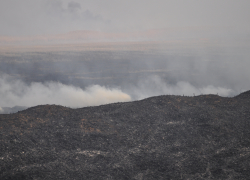 Астраханцы задыхаются от запаха гари