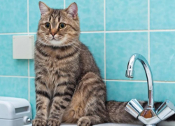 Подачу холодной воды в правобережье Астрахани возобновят в ближайшее время