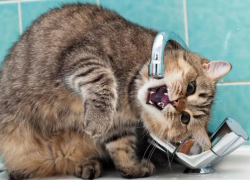 В апреле и мае астраханцев ждут плановые отключения холодной воды