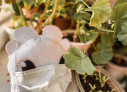 Астраханцы не видят эффект от QR-кодов в борьбе с ковидом