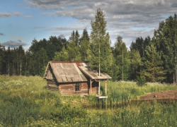 Астраханцы увеличивают свои земельные участки через «лесную амнистию»