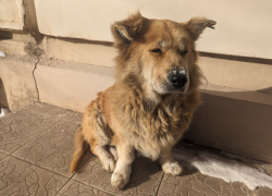 Погода, праздники, именины в субботу 16 декабря