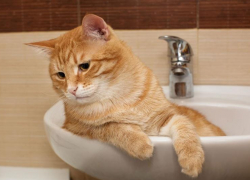 17 апреля астраханцам в микрорайоне Бабаевского отключат горячую воду