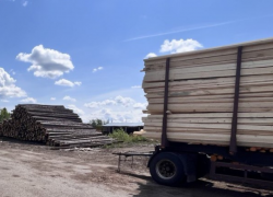 Астраханскую фирму поймали на контрабанде лесоматериалов в Азию