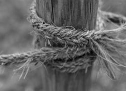 33-летнюю астраханку нашли повешенной на дереве 