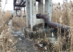 Астраханцы говорят об экологической катастрофе в районе ерика Казачий