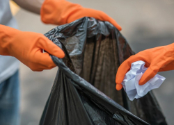 Около сотни астраханских предпринимателей вывозили мусор незаконно 