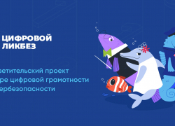 VK и АНО «Цифровая экономика» запускают новый сезон «Цифрового ликбеза»