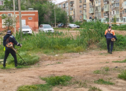 Астраханские районы освобождают от сорной травы ради безопасности