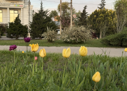 В Астраханской области ищут рабочих зеленого хозяйства