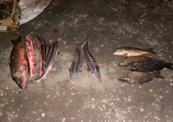 Астраханский суд приговорил браконьера к исправительным работам