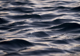 Пропавшего в Астраханской области москвича нашли мертвым