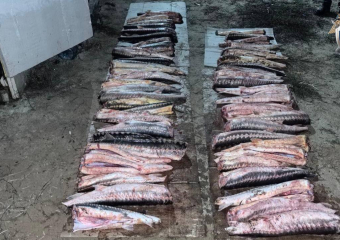 Под Астраханью вынесли приговор браконьеру, он получил реальный срок