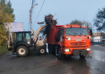 Октябрь у астраханцев выдался мусорным: за месяц убрано 505 нелегальных свалок
