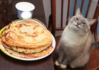 Астраханцам рассказали, как безопасно выбрать продукты к Масленице