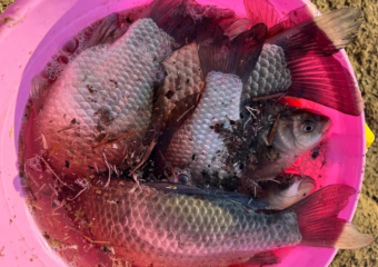 В Астрахани госинспектора «Росрыболовства» заподозрили в получении взяток