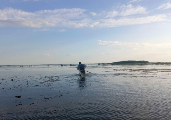 В Астрахани заявили о падении уровня Каспийского моря