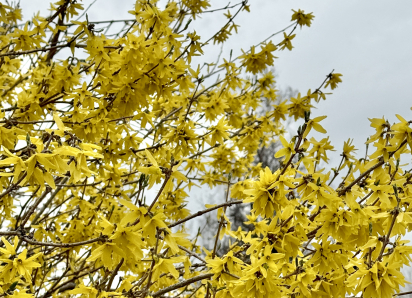 Астраханцев ожидает теплая, но дождливая неделя