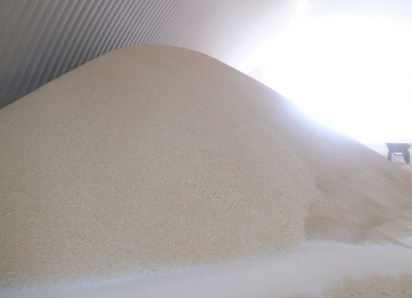 Под Астраханью вдвое увеличат площадь посева риса