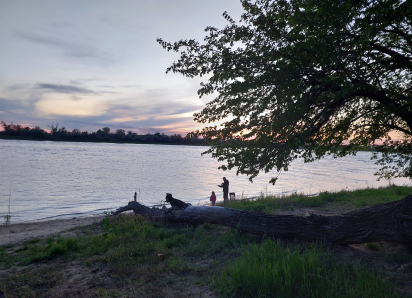 С сегодняшнего дня в Астраханской области запретили ловить еще одного речного обитателя