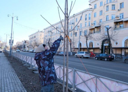 Астраханские озеленители готовят город к весне