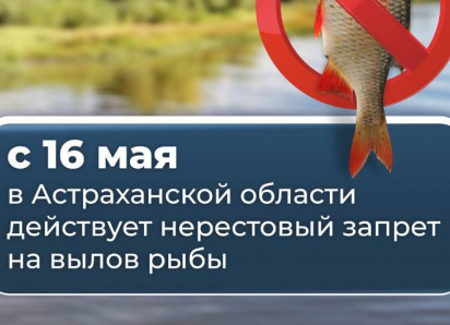 Губернатор призвал астраханцев соблюдать нерестовый запрет