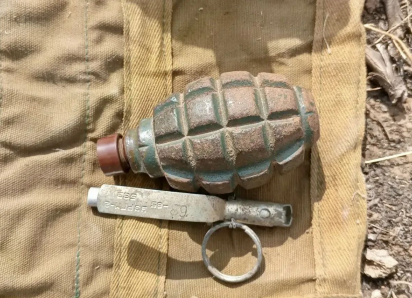 В Астраханской области женщина нашла боевую гранату времен войны в своем огороде