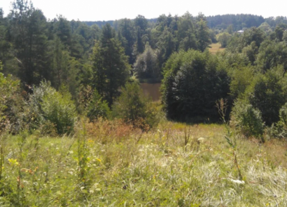 В двух лесничествах Астраханской области открыли пожароопасный сезон