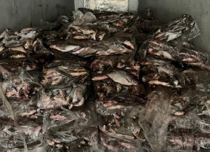 Астраханская полиция возбудила 14 уголовных дел в рамках операции «Путина – 2025»