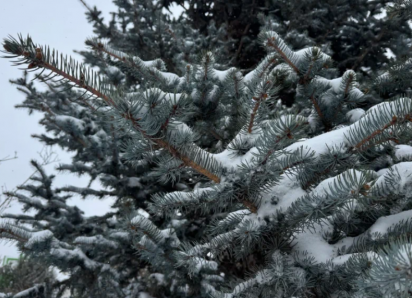 В Астраханской области прогнозируют рост ДТП из-за надвигающихся осадков