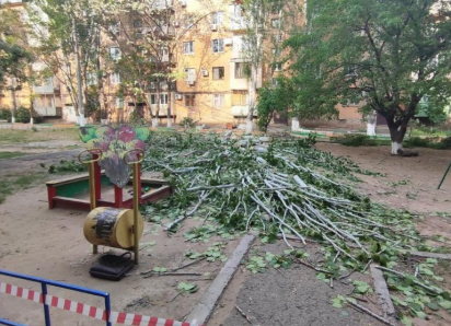 На семилетнюю астраханку упало дерево на детской площадке