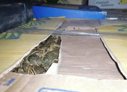 Астраханец согласился перевезти 214 килограммов раков за 10 тысяч рублей