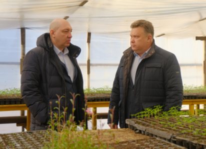 В Астрахани модернизируют цветочные теплицы