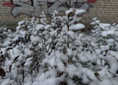 В Астраханской области местами ожидают заморозки