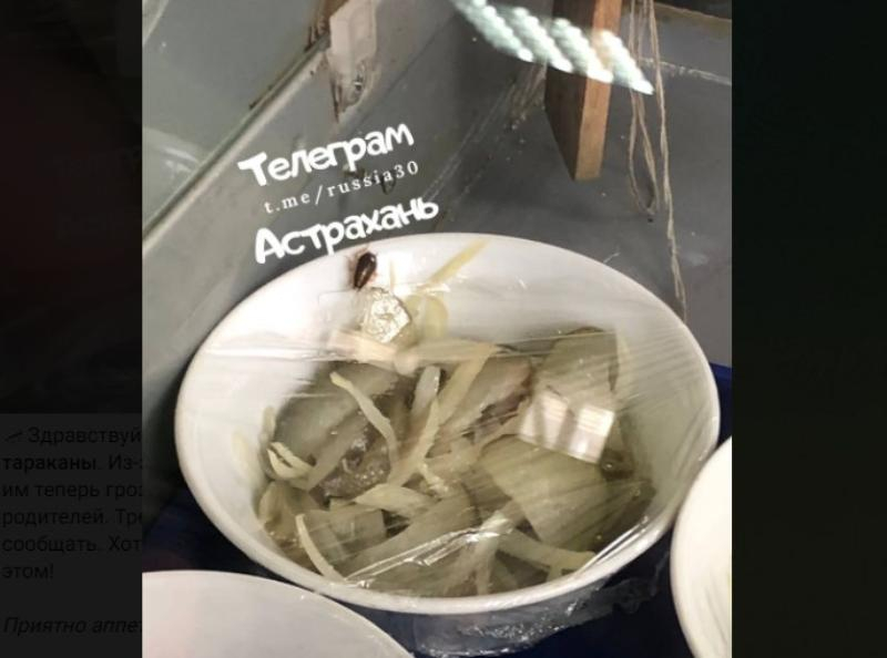 В Астрахани в гимназии №2 школьники заметили тараканов в столовой