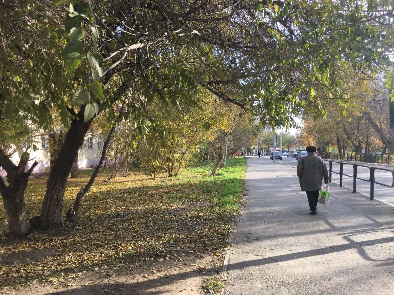 В субботу в Астрахани тепло и безветренно: прогноз на 19 ноября